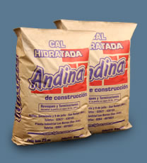 Andina01